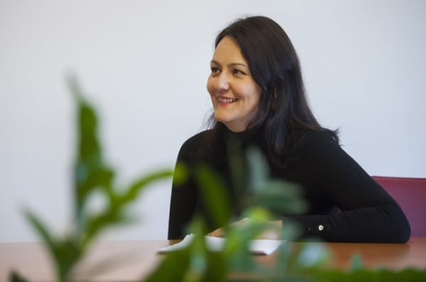 Anja Bah Žibert: Kako pristojni slovenski organi preverijo, da so jim migranti dali resnične podatke?