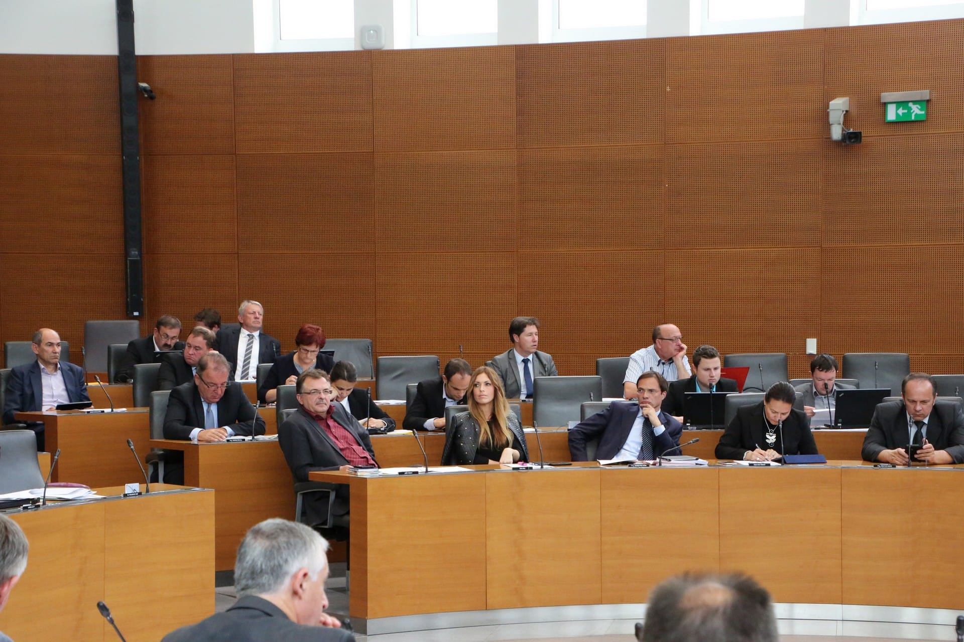 Poslanska skupina SDS: Neplačevanje preživnin je v Sloveniji pereč problem