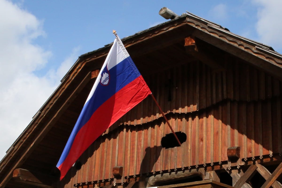 Ženski odbor SDS : »Zastava v vsak slovenski dom« ob 25 letnici Slovenije