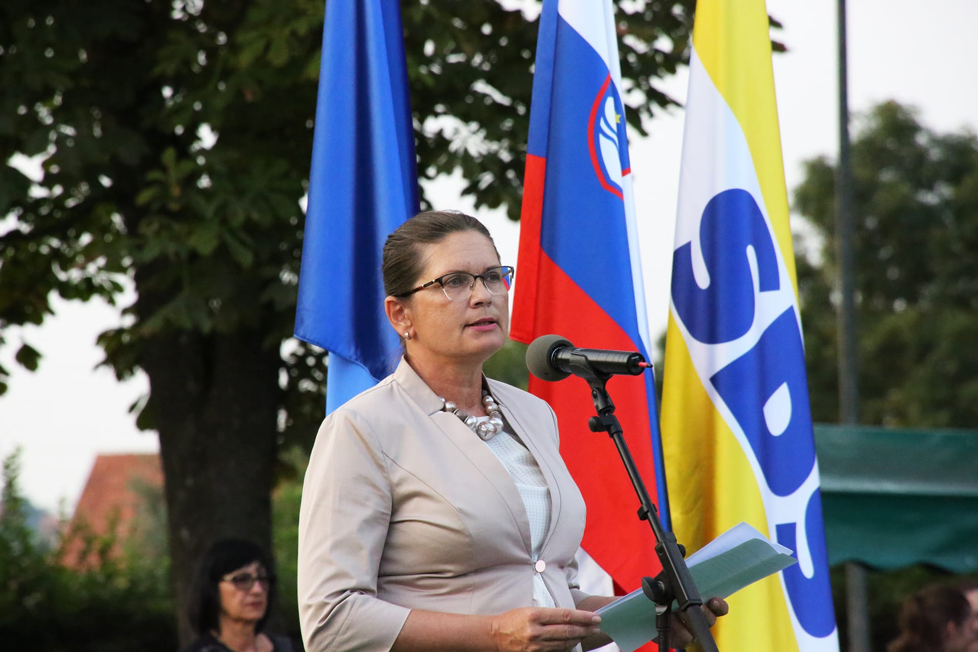 Dr. Andreja Valič Zver: Slovenci doživljamo kulturno preobrazbo v nasprotni smeri, proč od demokratičnih vrednot