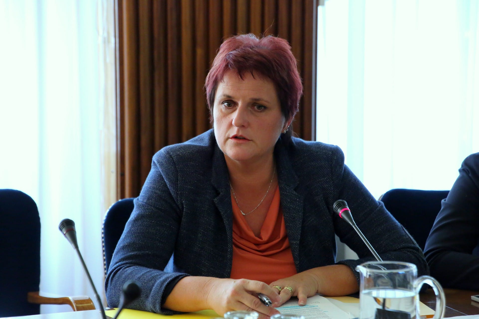 Jelka Godec: Problematika Pediatrične klinike in programa otroške srčne kirurgije še vedno ni rešena