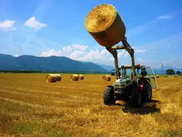 K reševanju težav, ki jih v kmetijstvu povzroča ambrozija, je treba pristopiti celovito