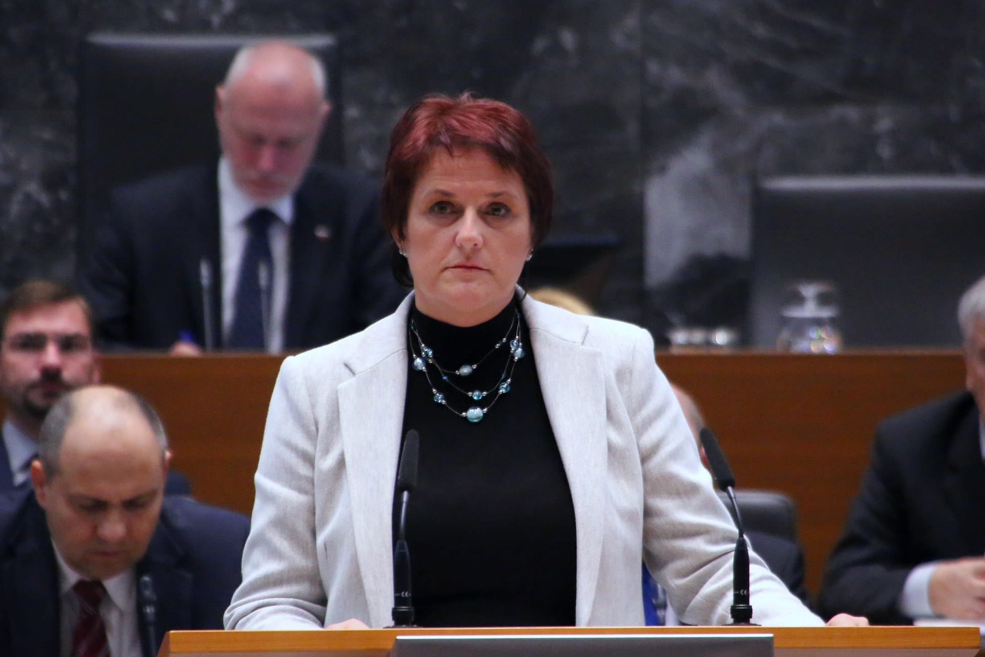 Jelka Godec: Amandma SDS edini sledi odločbi Ustavnega sodišča glede financiranja javno veljavnih programov osnovnih šol