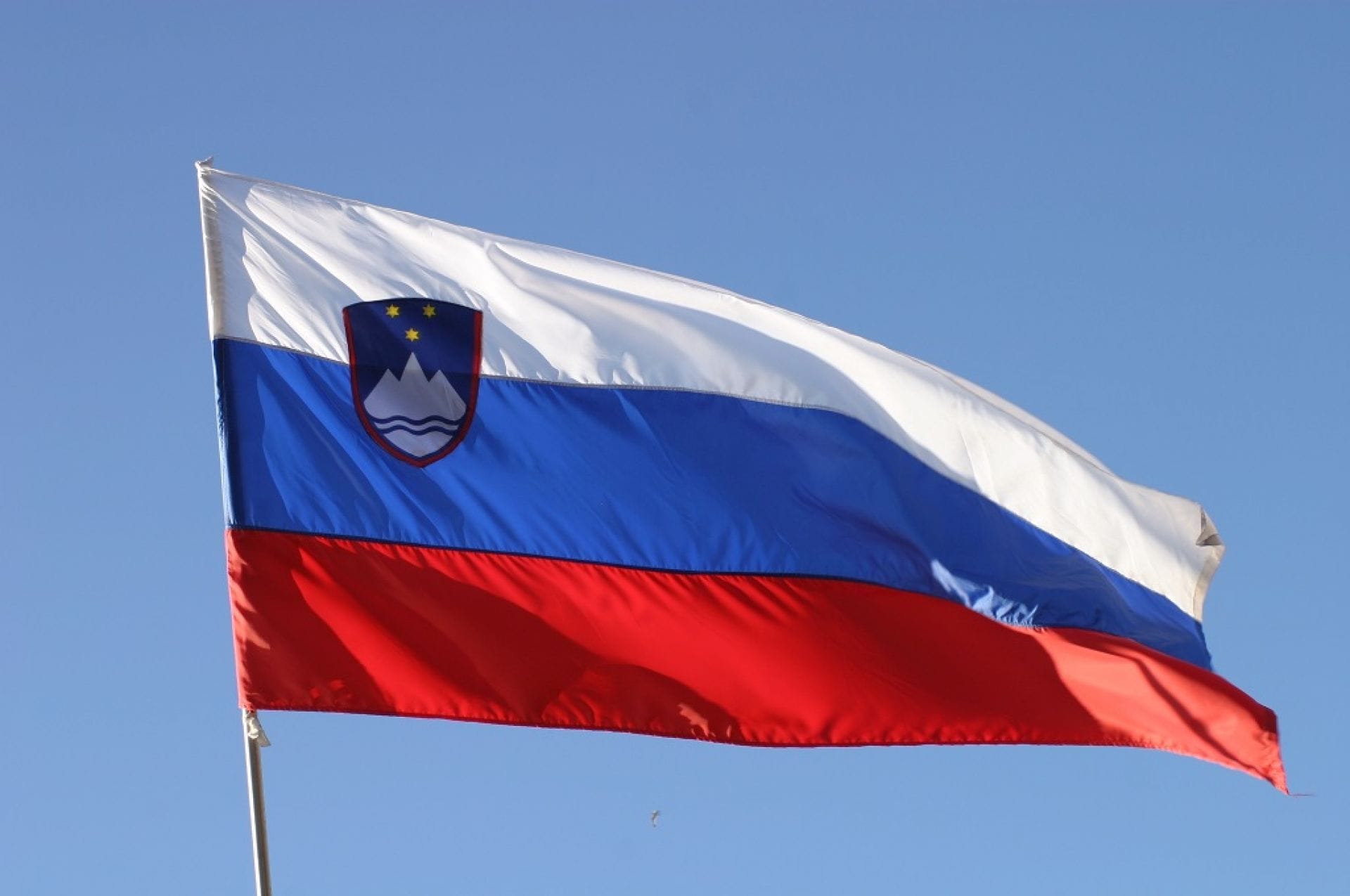 ŽO SDS:»Tradicionalna družina, temelj domoljubja in narodne zavesti«