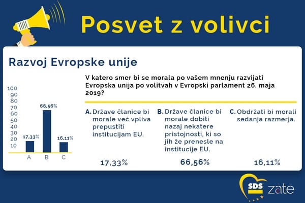 Posvet z volivci: Slovenija mora ohraniti svojo avtonomijo