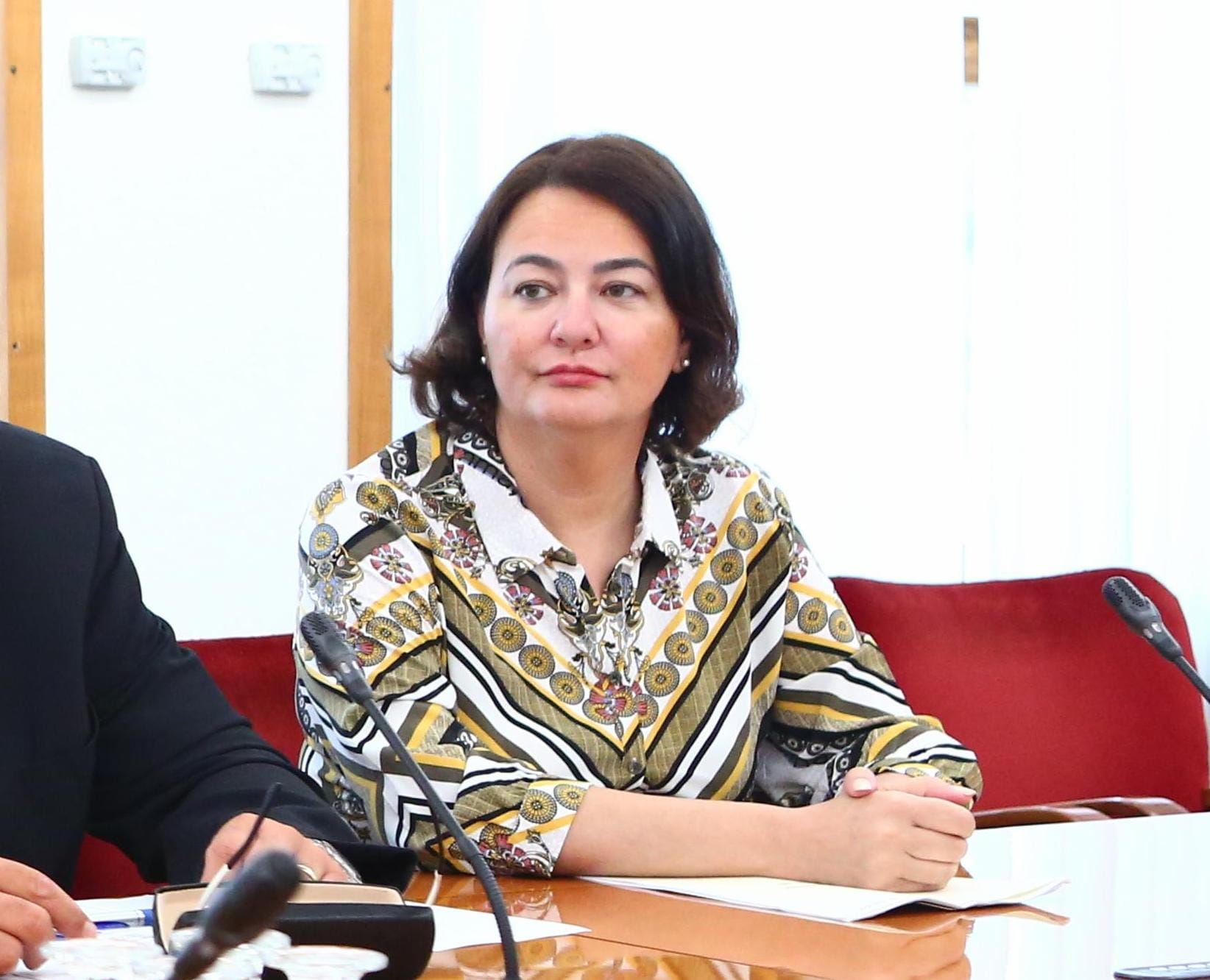 Anja Bah Žibert: Vlada Marjana Šarca naj preneha ignorirati bistvo problema ilegalnih migracij