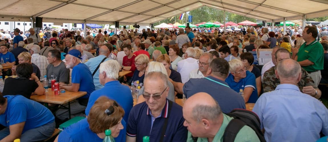 Zastava SDS je zastava prihodnosti, v njej so barve sonca in neba