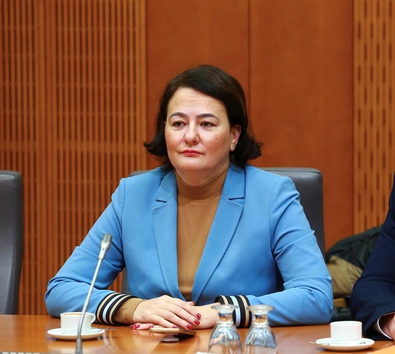 Anja Bah Žibert: Ali Policija dovolj resno jemlje problematiko ilegalnega orožja med Romi?