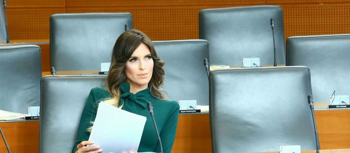 [STALIŠČE] Eva Irgl: Z novelo Zakona o osebni asistenci želimo izboljšati osebno asistenco za vse, ki jo potrebujejo in uporabljajo