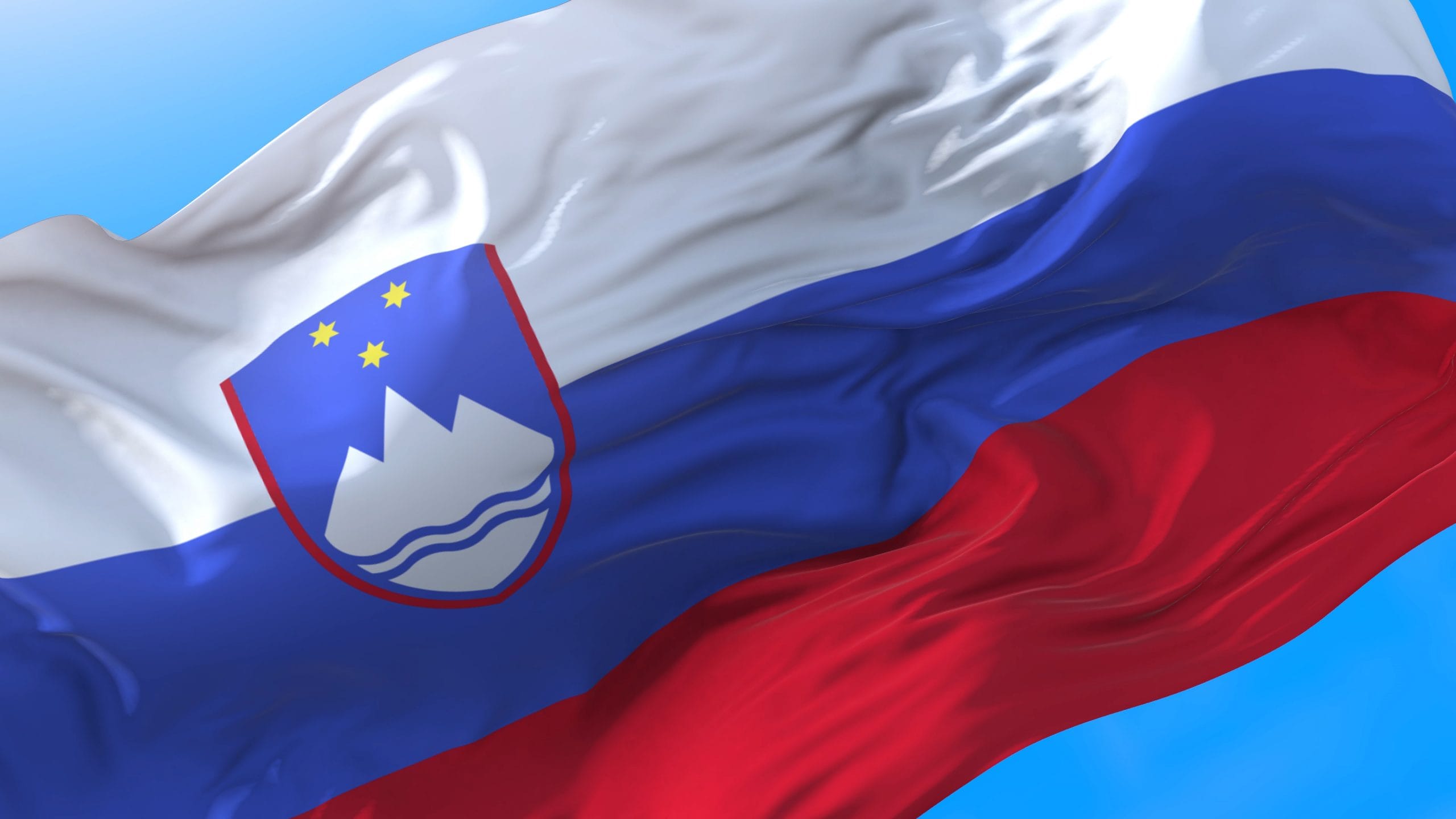 Na plebiscitu smo vzeli usodo v svoje roke in odločno glasovali ZA samostojno in neodvisno Slovenijo