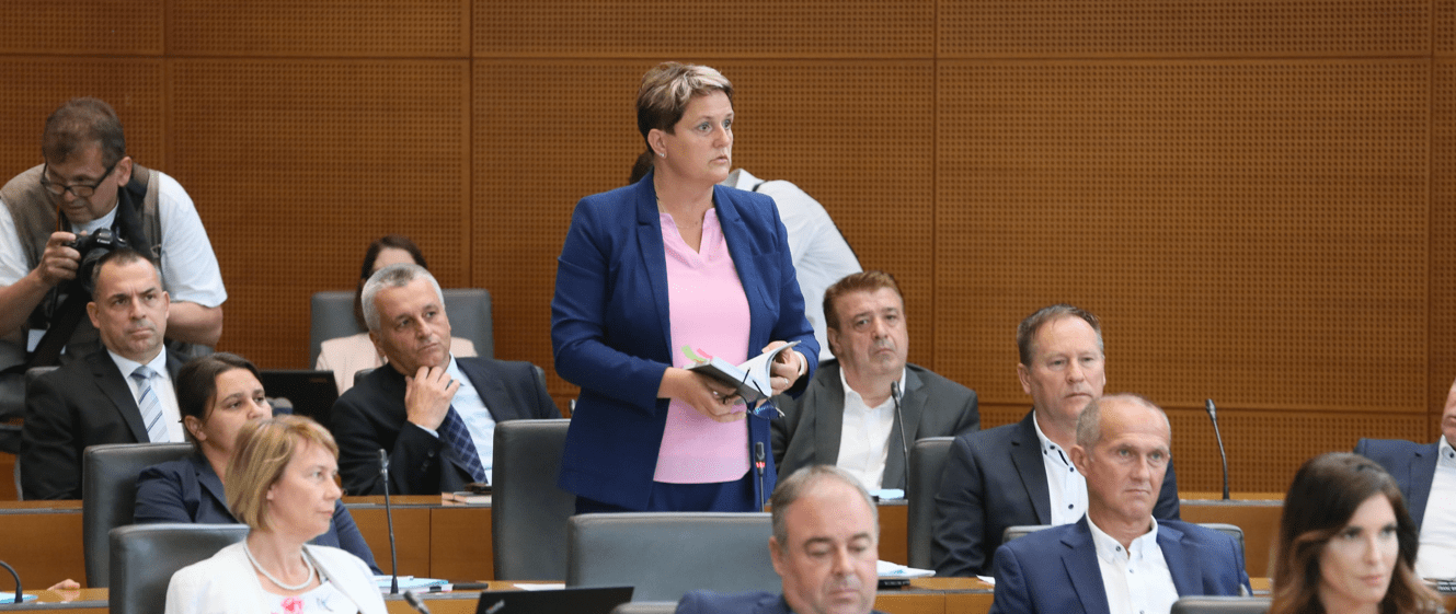 Poslanska skupina SDS predsednici Državnega zbora naslovila protestno pismo
