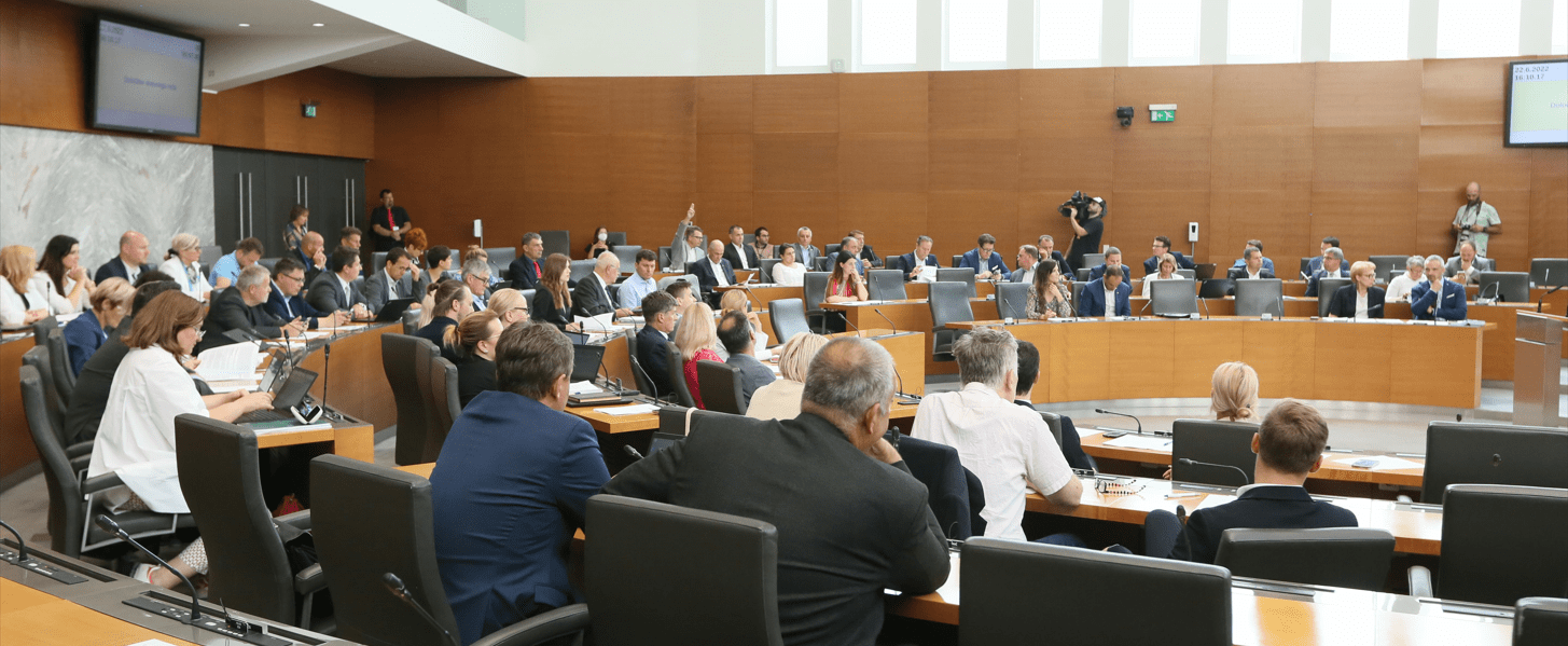 Odločitev, da se odpokliče dva nadzornika SDH je izključno in samo politična