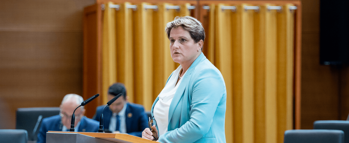 [POZIV] Vlada RS naj čim prej pripravi zakon za vstop Finske in Švedske v NATO