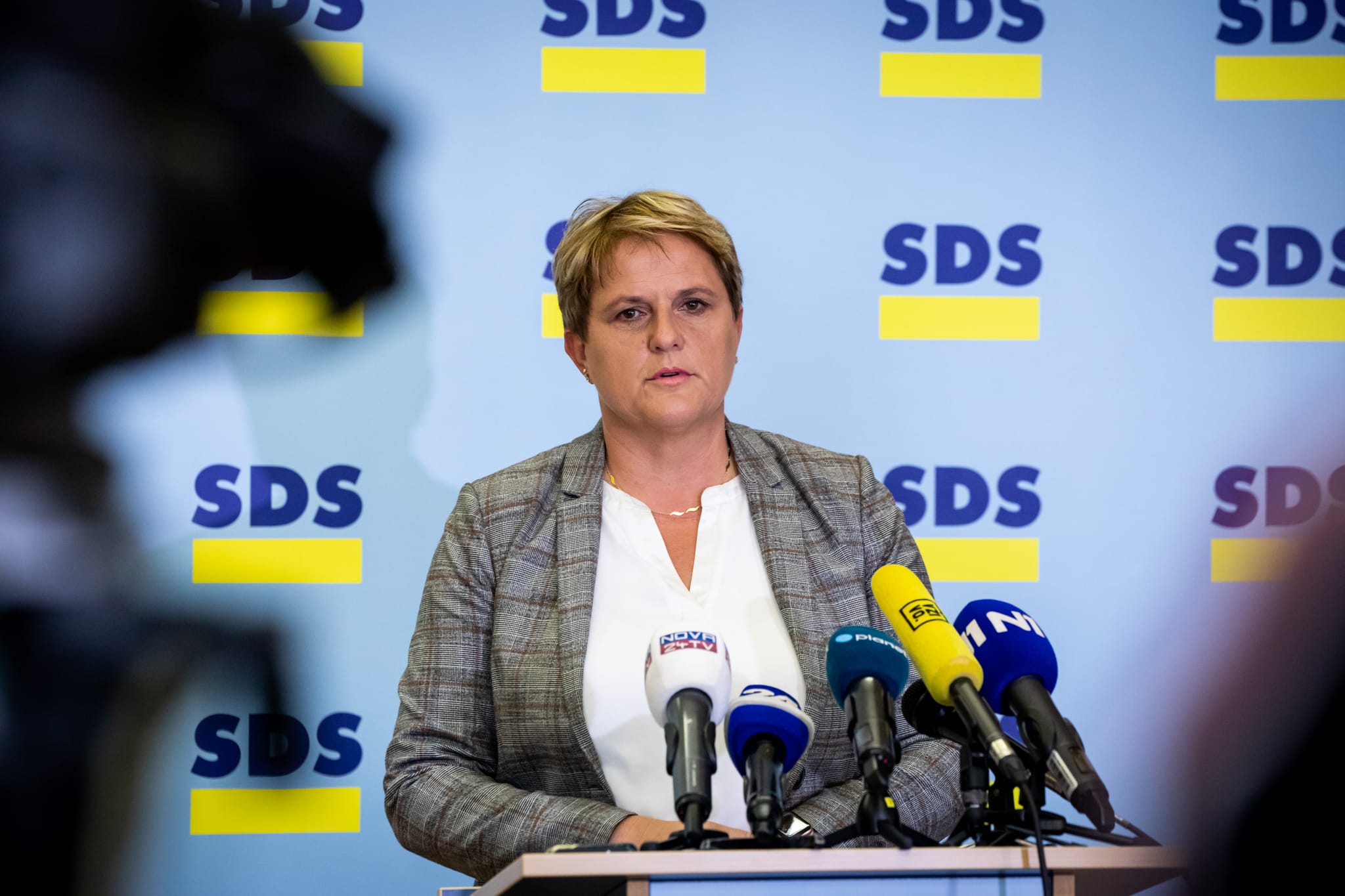 Jelka Godec: Demonizacija in pogrom nad SDS sta privedla do fizičnega nasilja