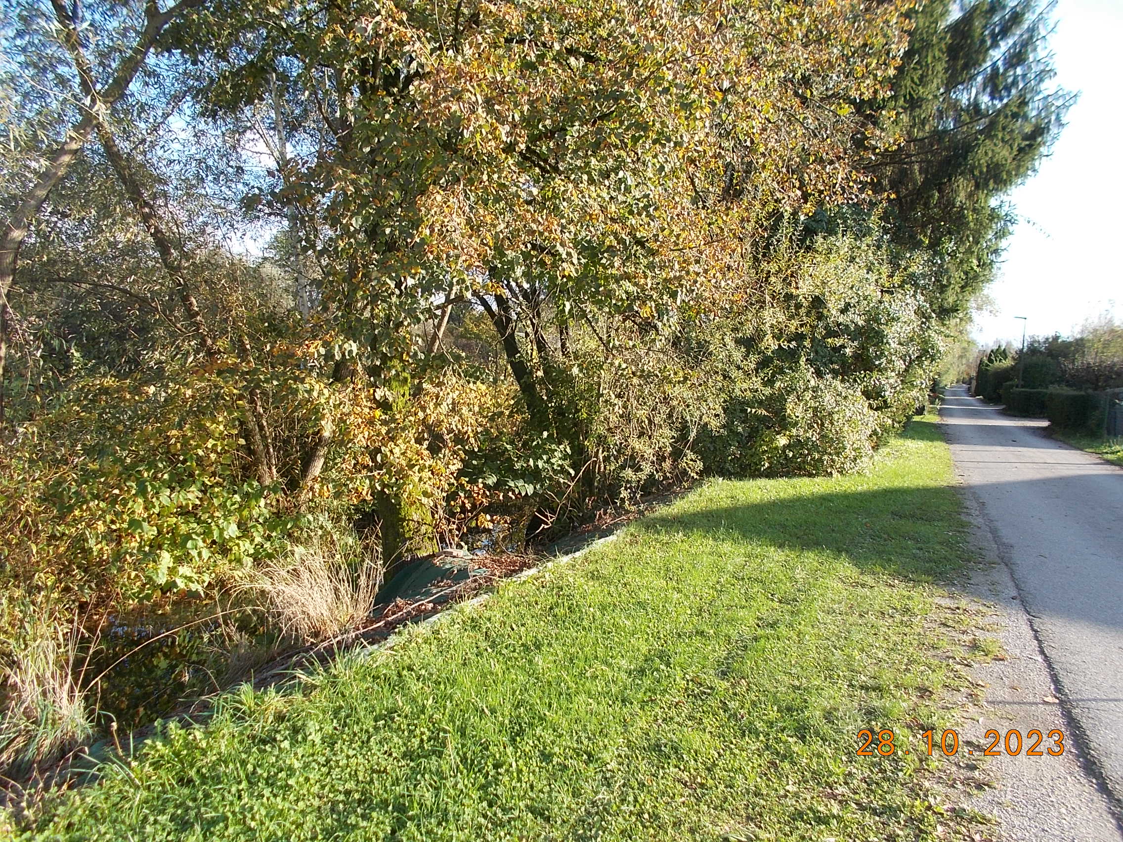 SDS Ljubljana: Problemi v Trnovem