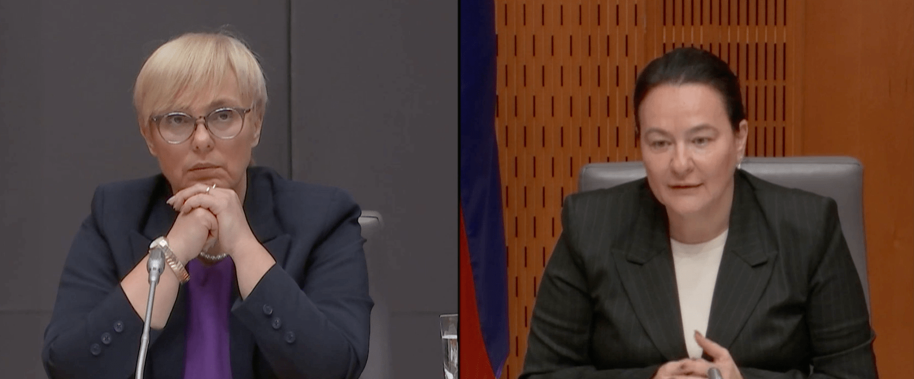 Anja Bah Žibert: Predsednica države meni, da je presoja vplivov na okolje tisto, kar projektu Kanal C0 manjka