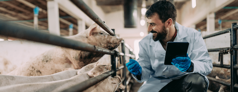 Odziv na novice o predvidenem nakupu farm Ihan