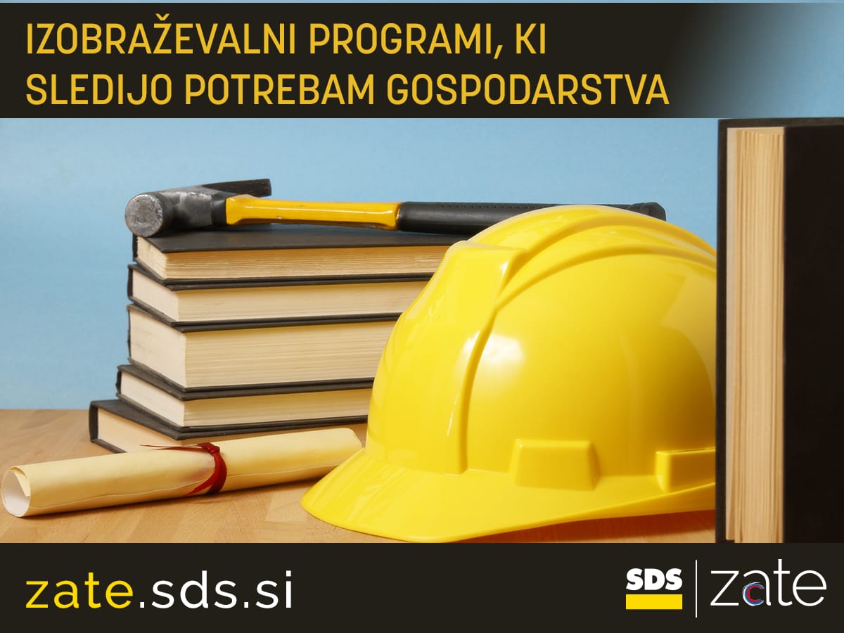 Izobraževanje po meri gospodarstva