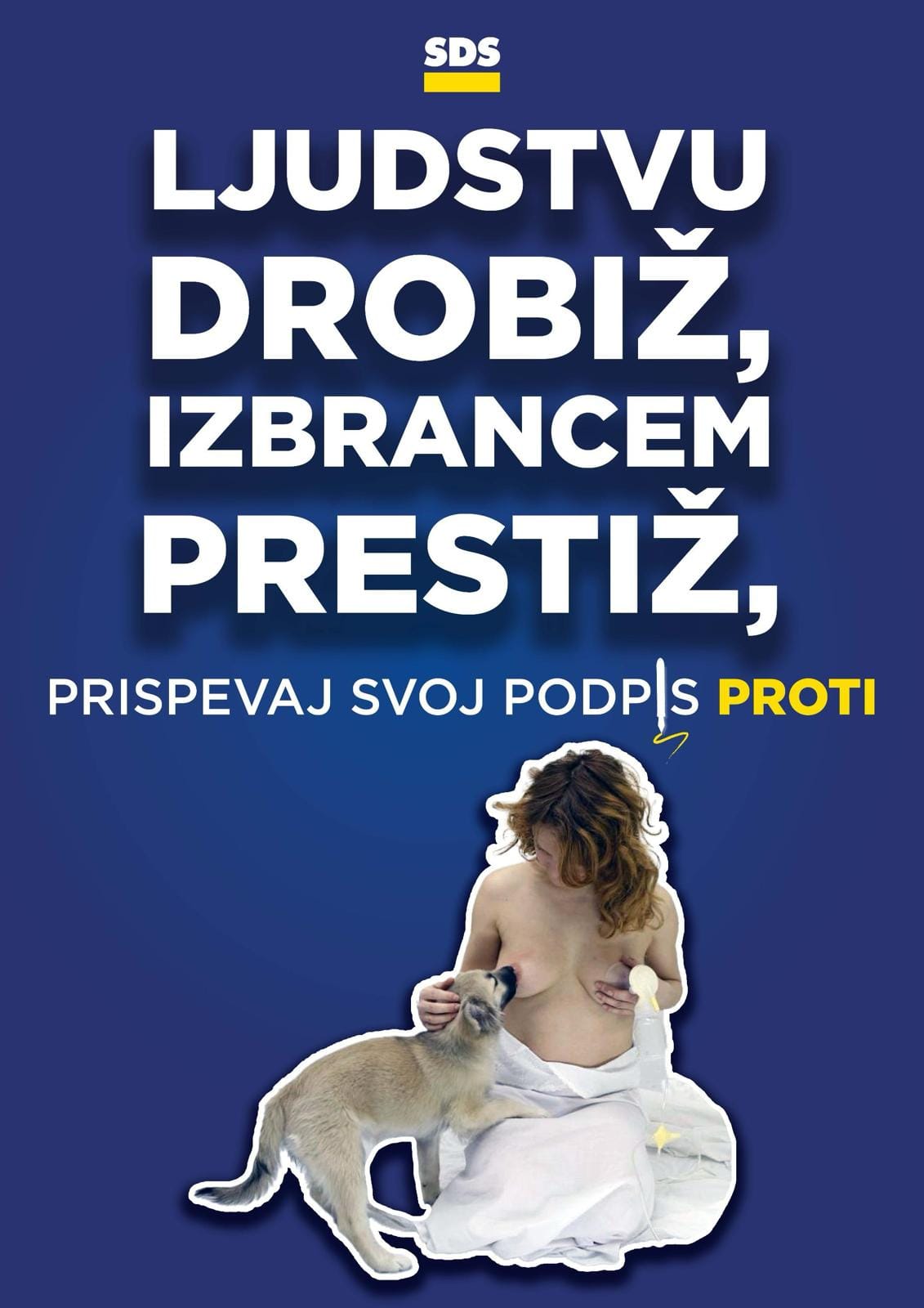 slika