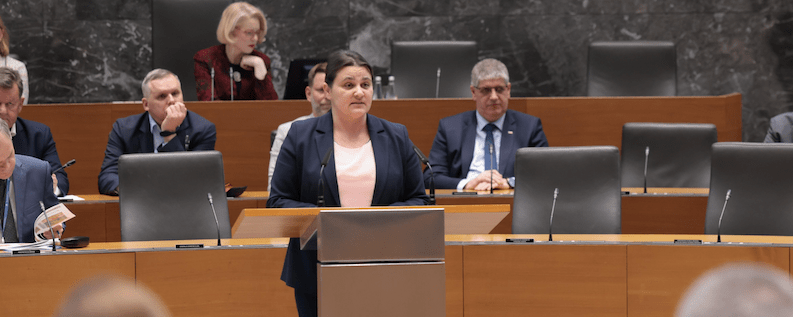 Izredna seja DZ o debirokratizaciji in izboljšanju poslovnega okolja: priporočila SDS zavrnjena