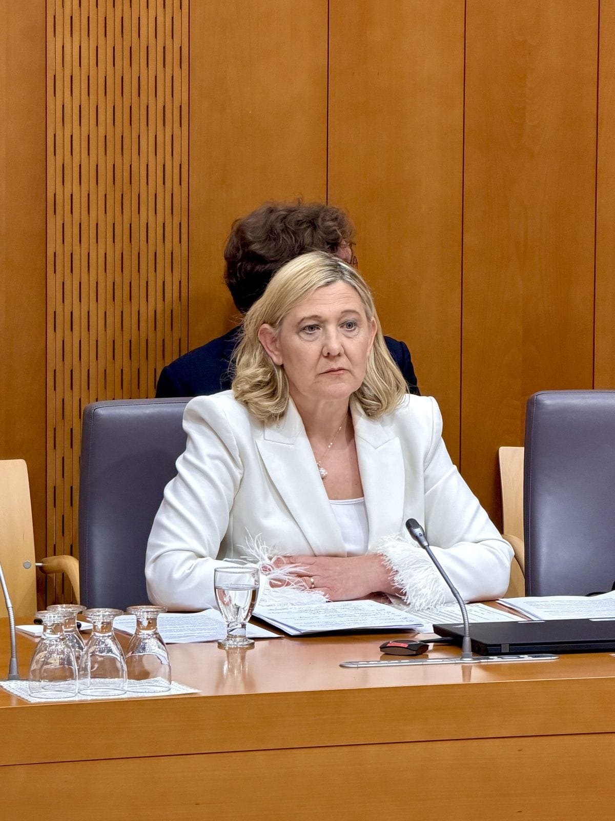 Odbor za kulturo podprl kandidatko za ministrico doc. dr. Ignacijo Fridl Jarc